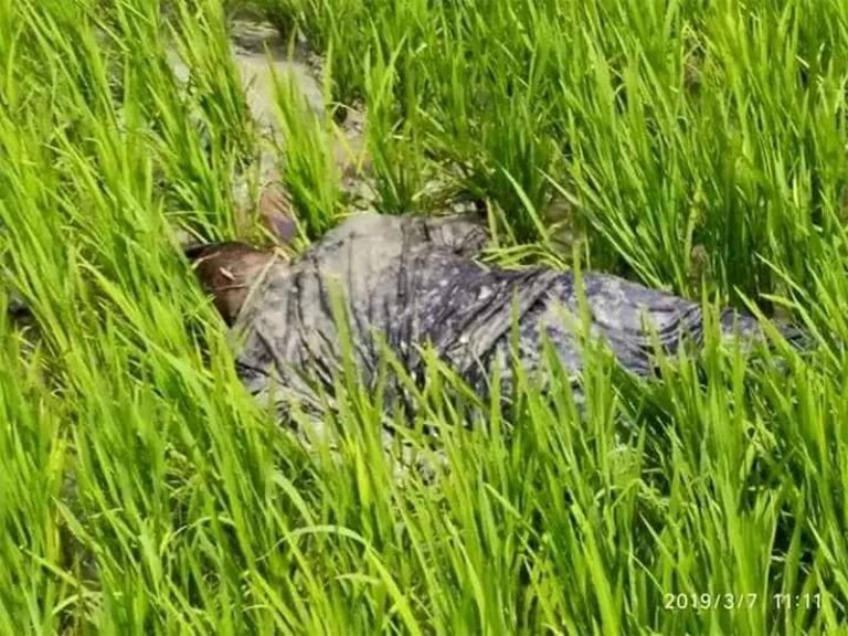 রাঙ্গামাটি বাঘাইছড়িতে সন্ত্রাসীদের গুলিতে ইউপিডিএফের প্রধান সমন্বয়ক নিহত, জেএসএস সংস্কার গ্রুপকে দায়ী