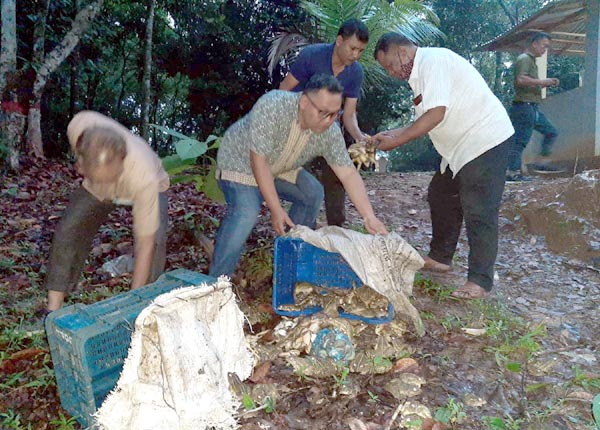 খাগড়াছড়িতে ব্যাঙ বিক্রির দায়ে ৩ যুবককে জেল, প্রাকৃতিক পরিবেশে অবমুক্ত