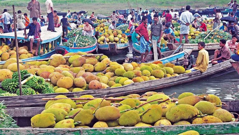 রাঙ্গামাটিতে হিমাগারের অভাবে বছরের পর বছর নষ্ট হচ্ছে ফল ও সবজি