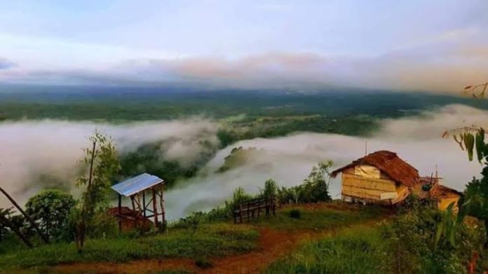 images (33)