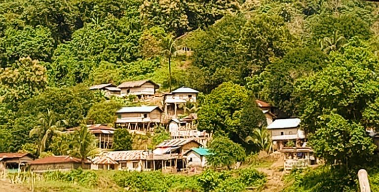 উন্নয়নের ছোঁয়ার বাইরে ফারুয়ার যমুনাছড়ির বম জনগোষ্ঠী, জুম চাষেই ভরসা