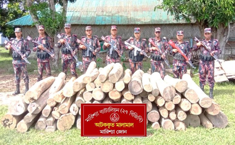 বাঘাইছড়িতে বিজিবির পৃথক অভিযানে ৮ লক্ষাধিক টাকার অবৈধ কাঠ জব্দ