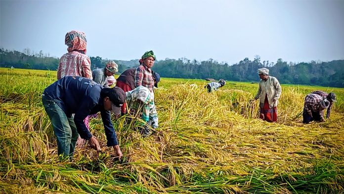 Rangamati Pic-18-05-2026-6