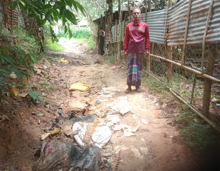বাঙ্গালহালিয়া আবাসিক মুন্সি পাড়া খালপার পর্যন্ত রাস্তার বেহাল দশা, ইট সলিং করার দাবি