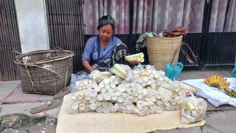 বর্ষায় বাঁশের অঙ্কুর (বাঁশ কোড়ল) বিক্রি করে সংসার চালান বান্দরবানের পাহাড়ি নারীরা