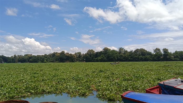 Rangamati Pic-12-08-2026-5