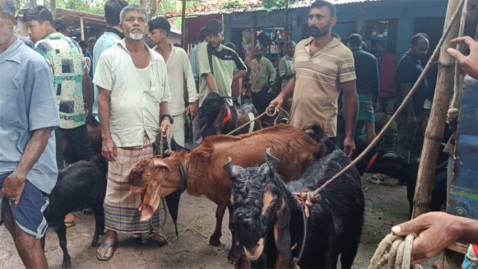 Rangamati Pic-13-08-2026-11